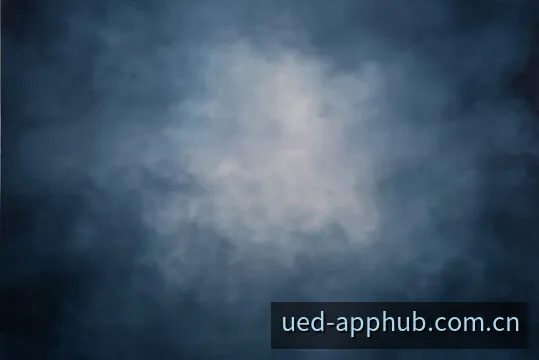 UED 篮球首席战术分析官